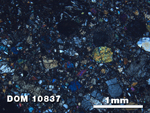 Thin Section Photo of Sample DOM 10837 at 2.5X Magnification in Cross-Polarized Light