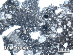 Thin Section Photo of Sample DOM 10838 at 1.25X Magnification in Plane-Polarized Light