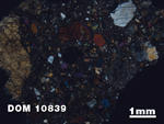Thin Section Photo of Sample DOM 10839 at 1.25X Magnification in Cross-Polarized Light