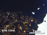 Thin Section Photo of Sample DOM 10848 in Plane-Polarized Light with 2.5X Magnification