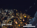 Thin Section Photo of Sample DOM 10848 in Cross-Polarized Light with 2.5X Magnification