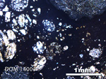 Thin Section Photo of Sample DOM 14003 in Plane-Polarized Light with 2.5X Magnification