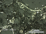 Thin Section Photo of Sample DOM 14003 in Reflected Light with 2.5X Magnification