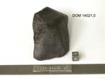 Lab Photo of Sample DOM 14021 Displaying West Orientation