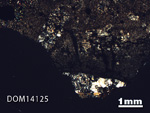 Thin Section Photo of Sample DOM 14125 in Cross-Polarized Light with 1.25X Magnification