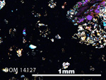 Thin Section Photo of Sample DOM 14127 in Cross-Polarized Light with 5X Magnification