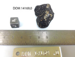 Lab Photo of Sample DOM 14169 Displaying East Orientation