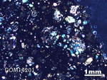 Thin Section Photo of Sample DOM 14201 in Cross-Polarized Light with 1.25X Magnification