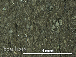 Thin Section Photo of Sample DOM 14219 in Reflected Light with 5X Magnification