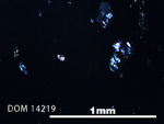 Thin Section Photo of Sample DOM 14219 in Cross-Polarized Light with 5X Magnification