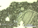 Thin Section Photo of Sample DOM 14238 in Reflected Light with 2.5X Magnification