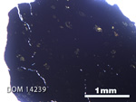 Thin Section Photo of Sample DOM 14239 in Plane-Polarized Light with 2.5X Magnification