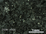 Thin Section Photo of Sample DOM 14305 in Reflected Light with 2.5X Magnification