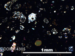 Thin Section Photo of Sample DOM 14305 in Cross-Polarized Light with 5X Magnification