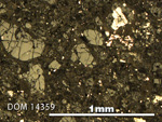 Thin Section Photo of Sample DOM 14359 in Reflected Light with 5X Magnification