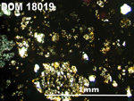 Thin Section Photo of Sample DOM 18019 in Plane-Polarized Light with 5X Magnification