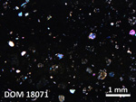 Thin Section Photo of Sample DOM 18071 in Cross-Polarized Light with 2.5X Magnification