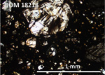 Thin Section Photo of Sample DOM 18218,2 at 5x magnification in Plane Polarized Light