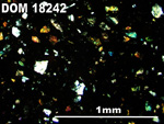 Thin Section Photo of Sample DOM 18242 in Cross-Polarized Light with 5X Magnification