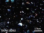 Thin Section Photo of Sample DOM 18262 in Cross-Polarized Light with 2.5X Magnification