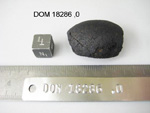 Lab Photo of Sample DOM 18286 Displaying Top North Orientation