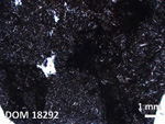 Thin Section Photo of Sample DOM 18292 in Plane-Polarized Light with 1.25X Magnification