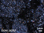 Thin Section Photo of Sample DOM 18292 in Cross-Polarized Light with 1.25X Magnification