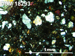 Thin Section Photo of Sample DOM 18293 in Cross-Polarized Light with 5X Magnification