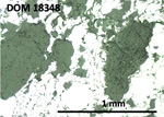 Thin Section Photo of Sample DOM 18348,2 at 5x magnification in Reflected Light