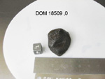 Lab Photo of Sample DOM 18509 Displaying Top East Orientation