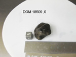 Lab Photo of Sample DOM 18509 Displaying Top West Orientation