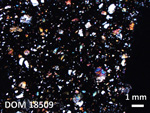 Thin Section Photo of Sample DOM 18509 in Cross-Polarized Light with 1.25X Magnification