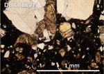 Thin Section Photo of Sample DOM 18545,2 at 5x magnification in Plane Polarized Light