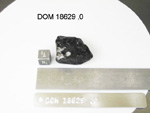Lab Photo of Sample DOM 18629 Displaying Top North Orientation