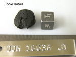 Lab Photo of Sample DOM 18636 Displaying West Orientation