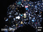 Thin Section Photo of Sample DOM 18787 in Cross-Polarized Light with 1.25X Magnification