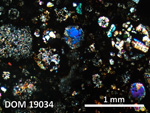 Thin Section Photo of Sample DOM 19034 in Cross-Polarized Light with 2.5X Magnification