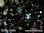 Thin Section Photo of Sample DOM 19049 in Cross-Polarized Light with 2.5X Magnification