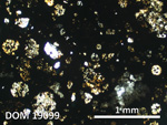 Thin Section Photo of Sample DOM 19099 in Plane-Polarized Light with 2.5X Magnification