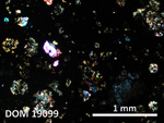 Thin Section Photo of Sample DOM 19099 in Cross-Polarized Light with 2.5X Magnification