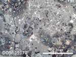 Thin Section Photo of Sample DOM 19170 in Reflected Light with 2.5X Magnification