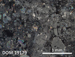 Thin Section Photo of Sample DOM 19179 in Reflected Light with 2.5X Magnification