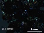 Thin Section Photo of Sample EET 16029 in Cross-Polarized Light with 2.5X Magnification