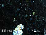 Thin Section Photo of Sample EET 16039 in Cross-Polarized Light with 2.5X Magnification