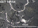 Thin Section Photo of Sample EET 16154 in Reflected Light with 5X Magnification