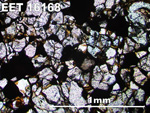 Thin Section Photo of Sample EET 16168 in Plane-Polarized Light with 5X Magnification