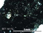 Thin Section Photo of Sample EET 16172 in Plane-Polarized Light with 5X Magnification