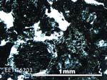 Thin Section Photo of Sample EET 16203 in Plane-Polarized Light with 5X Magnification