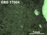 Thin Section Photo of Sample GRO 17004 in  with 2.5X Magnification