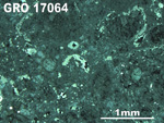 Thin Section Photo of Sample GRO 17064 in Reflected Light with 2.5X Magnification
